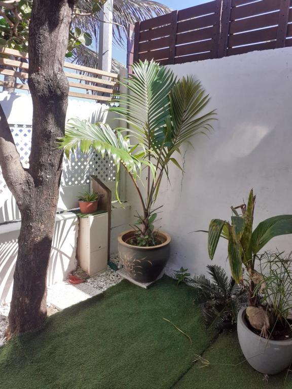 Villa Les Badamiers Saint Pierre Exterior foto